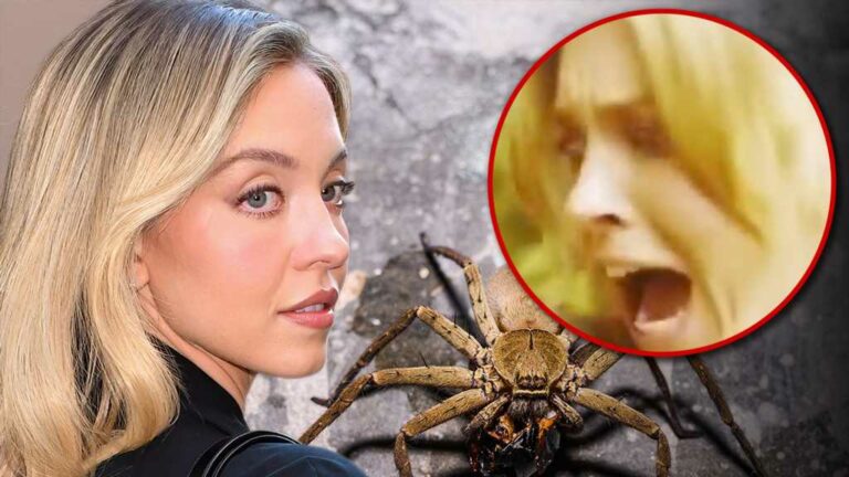 Sydney Sweeney Bitten by Huntsman Spider, Terror-Stricken Reaction On Cam